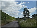 Eastling Road, near Painters Forstal