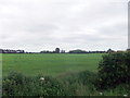 Fields near Warren Hill Farm