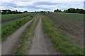 Farm Track at Muirside