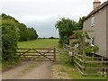 Footpath crossroads, Car Colston