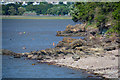 Portisbury : Severn Estuary