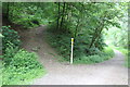SO2002 : Start of hillside path, Cwm Big by M J Roscoe