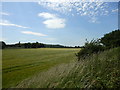 View towards Barff Lane from atop Dismantled Railway