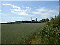 Field off Barff Lane (now developed)