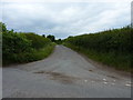 Up the lane towards Chilton Farm