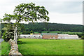 Variety of barns at Rope Barn