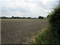 Field between Barnstone and Langar