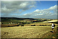 Looking towards Cheverton Farm from the Worsley Trail at Lorden Copse