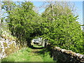 Bridleway above Gossipgate (3)