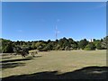 Wells Park tower view