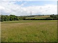 Pasture near Marsh Farm