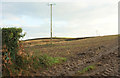 Field at Furze Farm