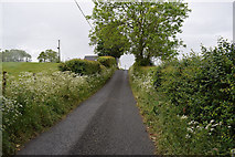 H5572 : Roeglen Road by Kenneth  Allen