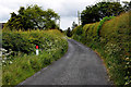 High hedges along Stoneleigh Road