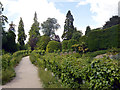 SE5006 : Garden, Brodsworth Hall by habiloid