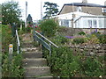 A footpath in a garden