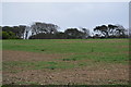 Farmland behind The Fleet