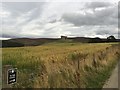 To the Castle - Auchindoun Castle