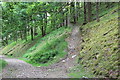 SO2003 : Path up through oak woodland, Cwm by M J Roscoe