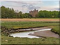 NH7349 : Saltmarsh and Reed Bed Castle Stuart by valenta