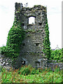 S4680 : Castles of Leinster: Ballinakill, Laois by Garry Dickinson