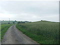 Foss Walk by Whinny Hill