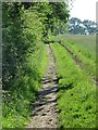 Bridleway to Scotton