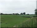 Oulston from the east