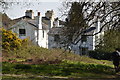 Houses on the edge of Southborough Common