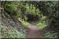 Footpath to Reigate Rd