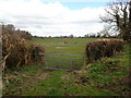 Grazing land south of Gobowen