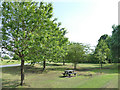 Picnic area, Adwalton Moor, Drighlington