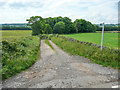 The Rons Cliff bridleway at North Lane, Cawthorne