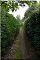 Narrow footpath off Well House Lane