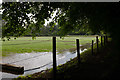 Watercress Beds beside Bedfield Lane