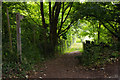 Footpath from St. Swithun