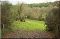 Meadow by Huntshaw Mill