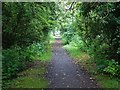 The track bed of the old Axholme Joint Railway