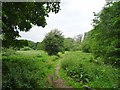 Chapel Lane path