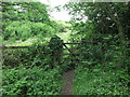 Kissing Gate near Crow Hall Farm