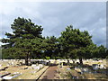 Path in Woolwich New Cemetery