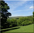 View across the valley at the Chestnut Centre