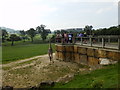 Giraffe Feeding Platform - Longleat