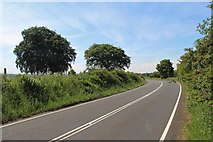 NS3356 : A bend on the A760 heading for Kilbirnie by Alan Reid