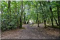 Woodbury : Footpath