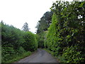 Approaching a bend in Hedgehog Lane