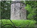 NX9372 : Dalskairth Tower by Graham Ovens