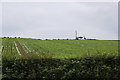 Arable Land at Humeston