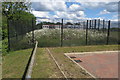 Daisies corralled in the school grounds