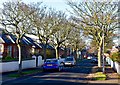 Southpark Avenue, Prestwick, South Ayrshire